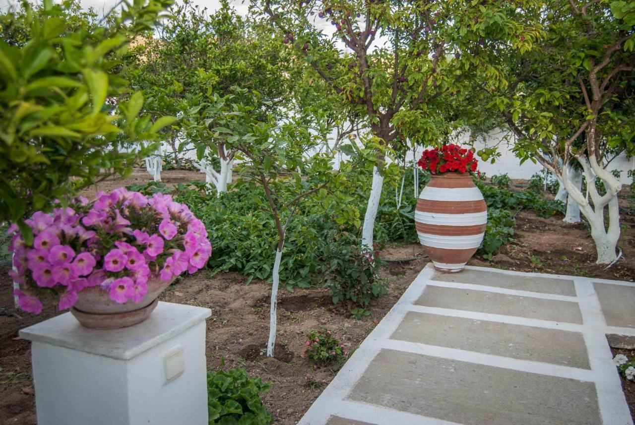 Ferienwohnung Perivoli 3-Chora Agkidia Exterior foto