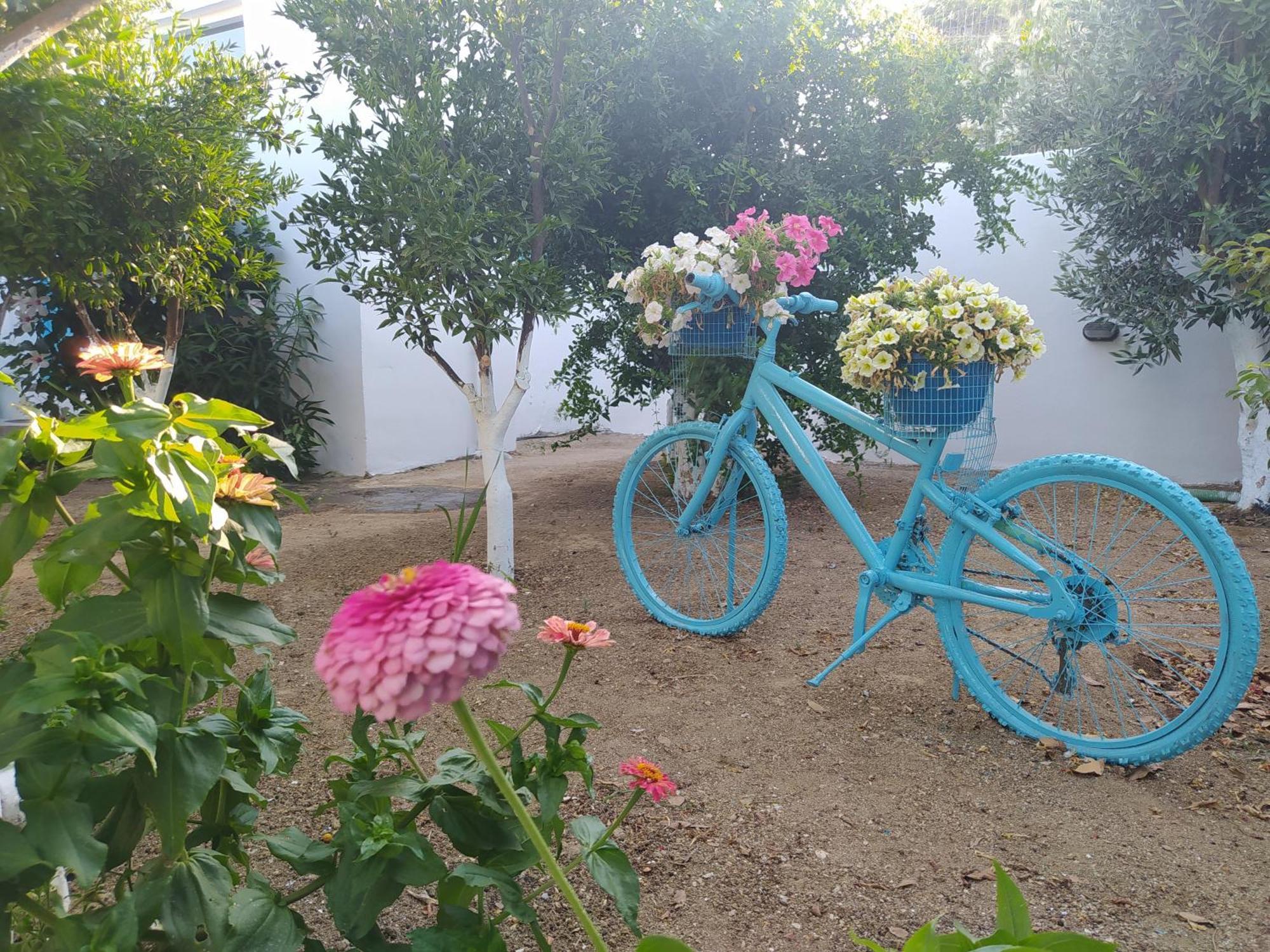 Ferienwohnung Perivoli 3-Chora Agkidia Exterior foto